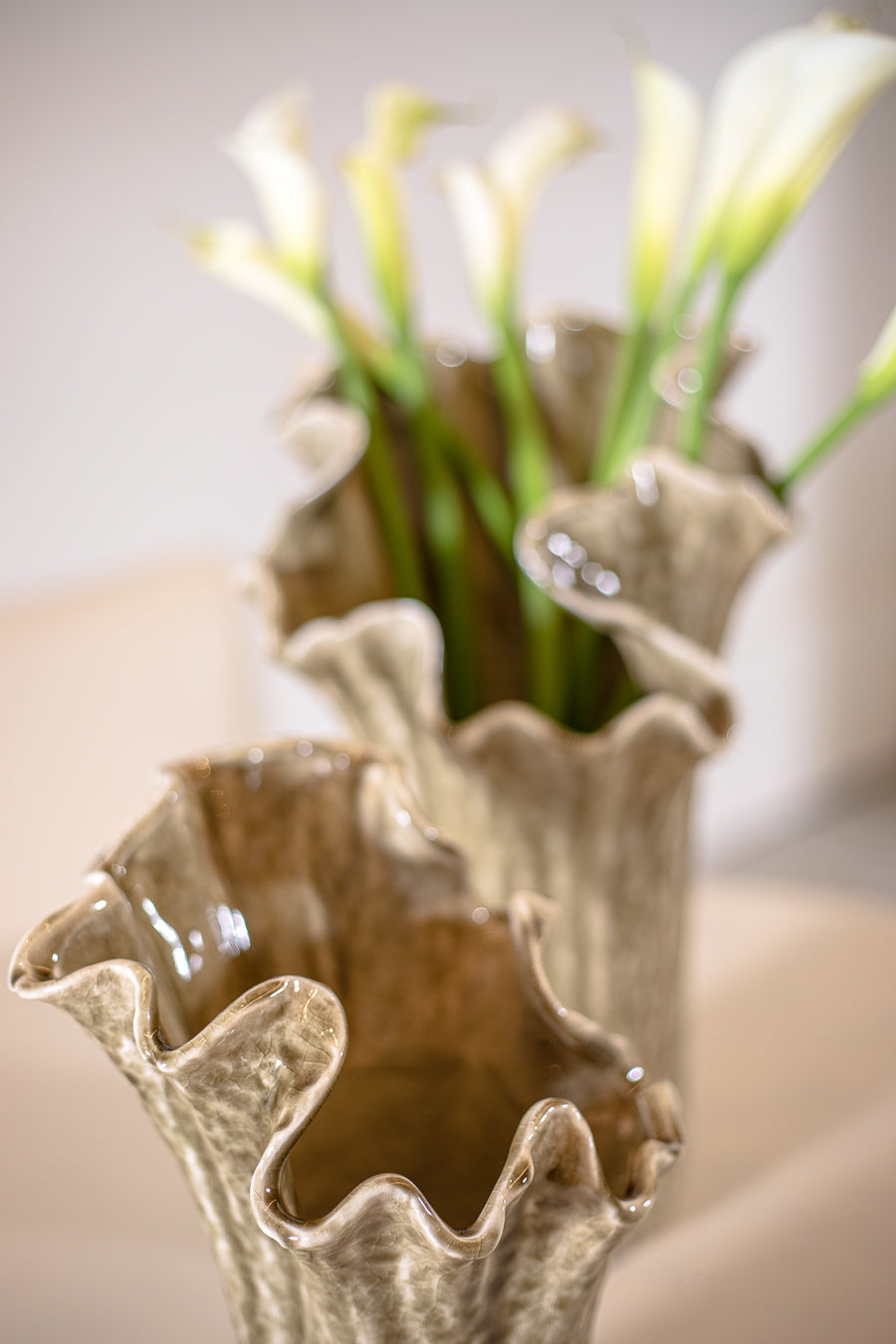 ואזה פלורה אוליב M