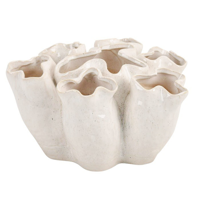 ואזה בלייז ווייט