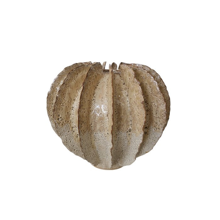 ואזה ריף אייבורי M