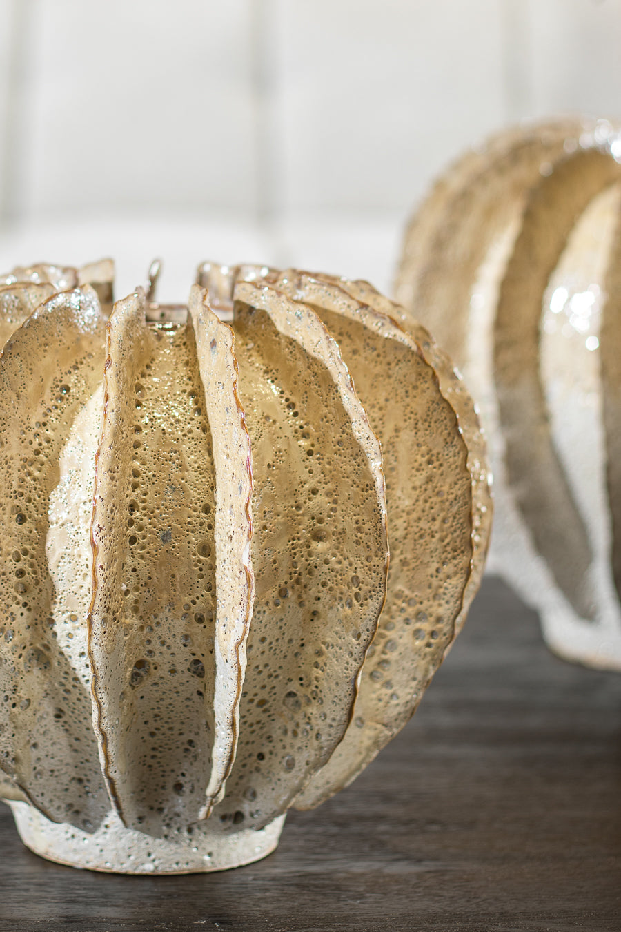 ואזה ריף אייבורי L