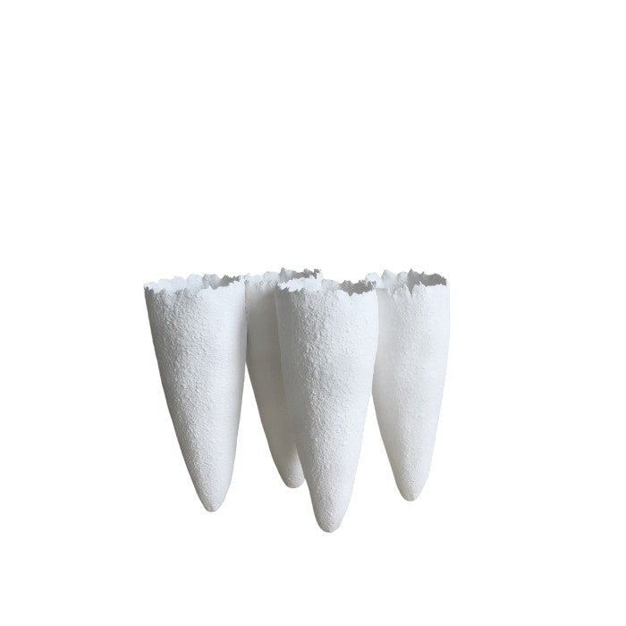 ואזה קוני סנואו L