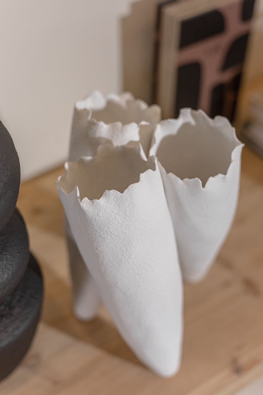 ואזה קוני סנואו L