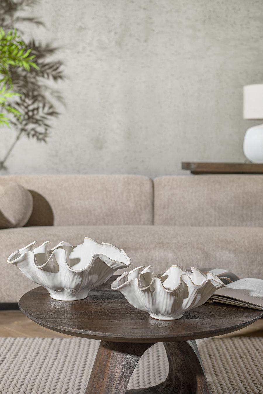 בול נאוטילוס ווייט M