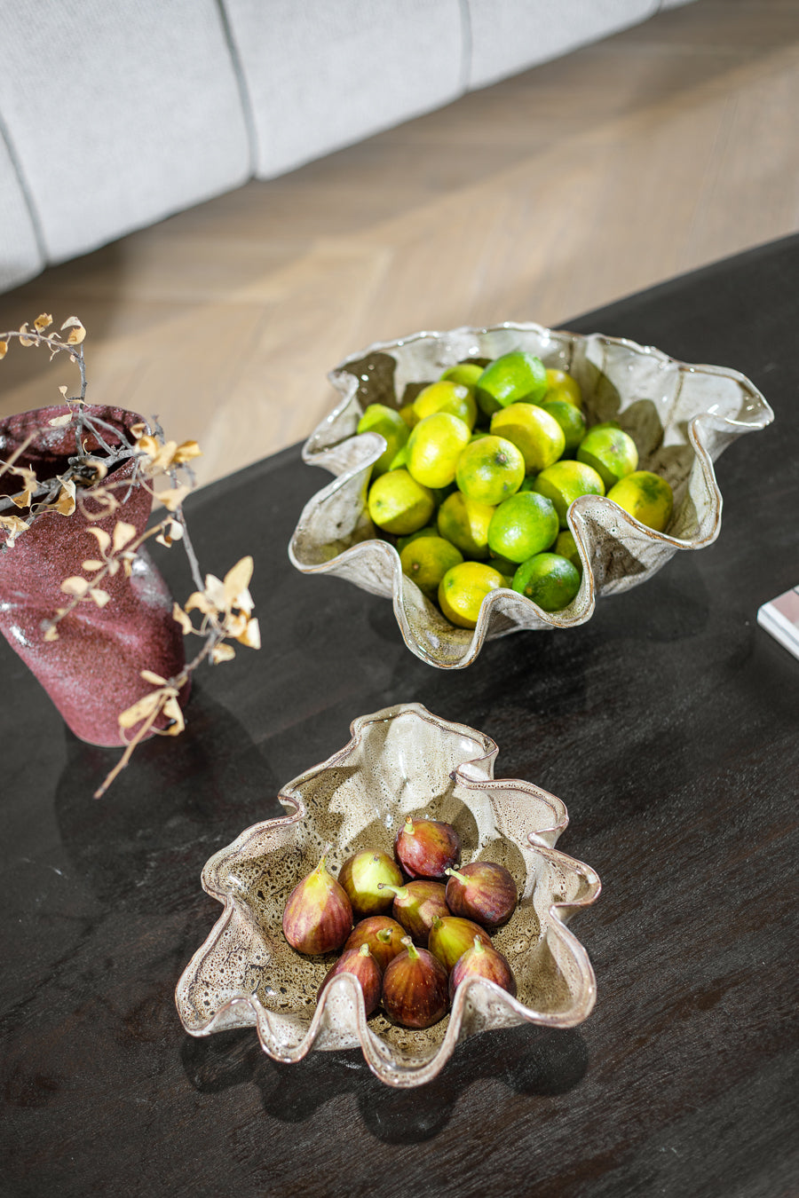 בול נאוטילוס קינמון M