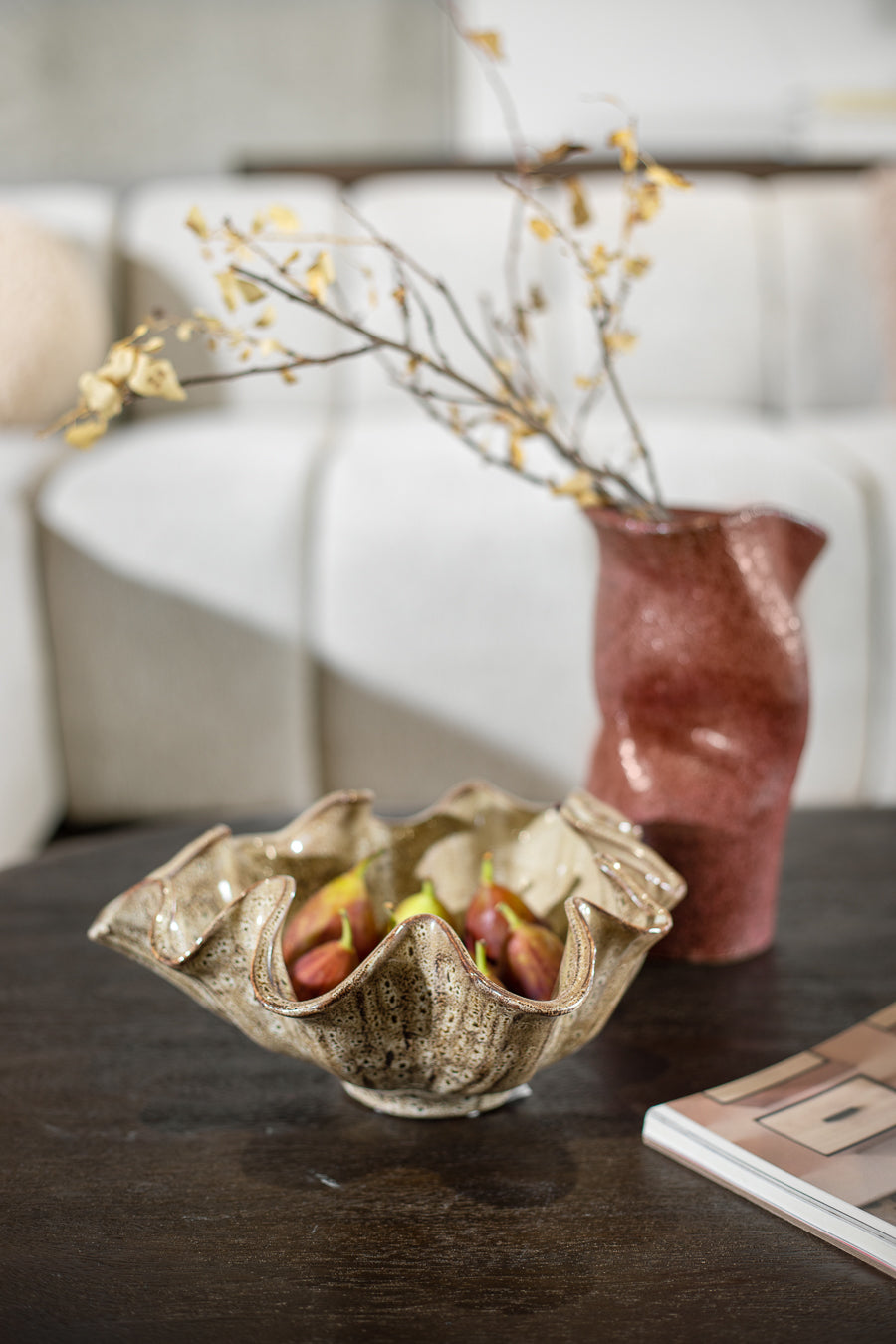 בול נאוטילוס קינמון M