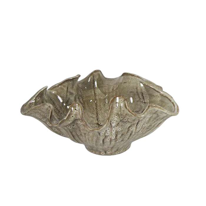 בול נאוטילוס קינמון L