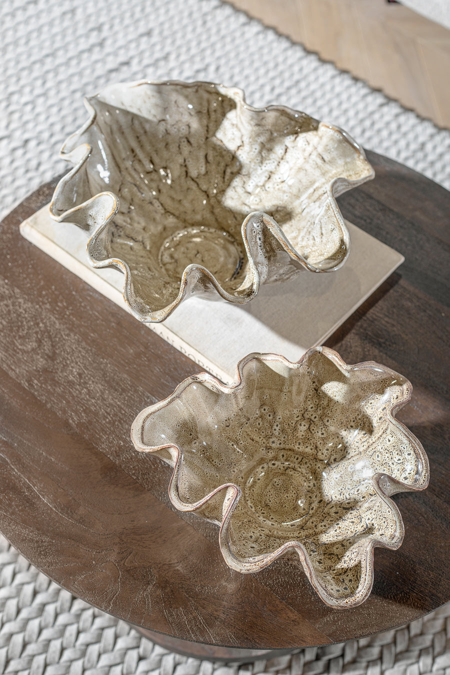 בול נאוטילוס קינמון L