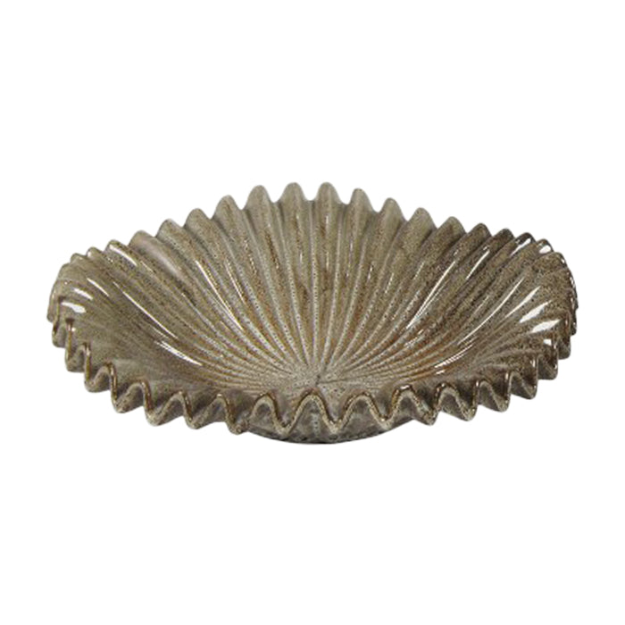 בול נאוטילוס קינמון L