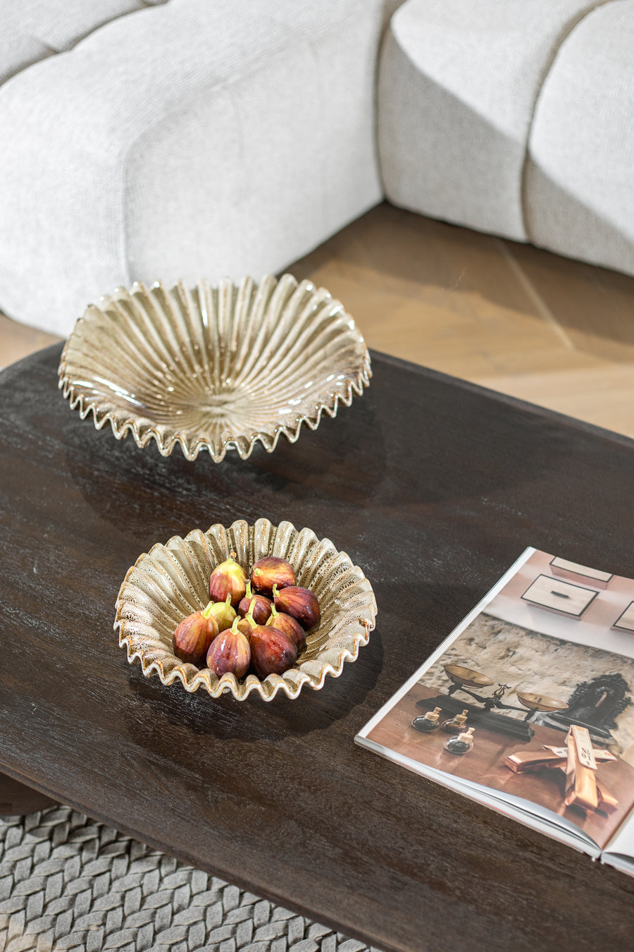 בול נאוטילוס קינמון L