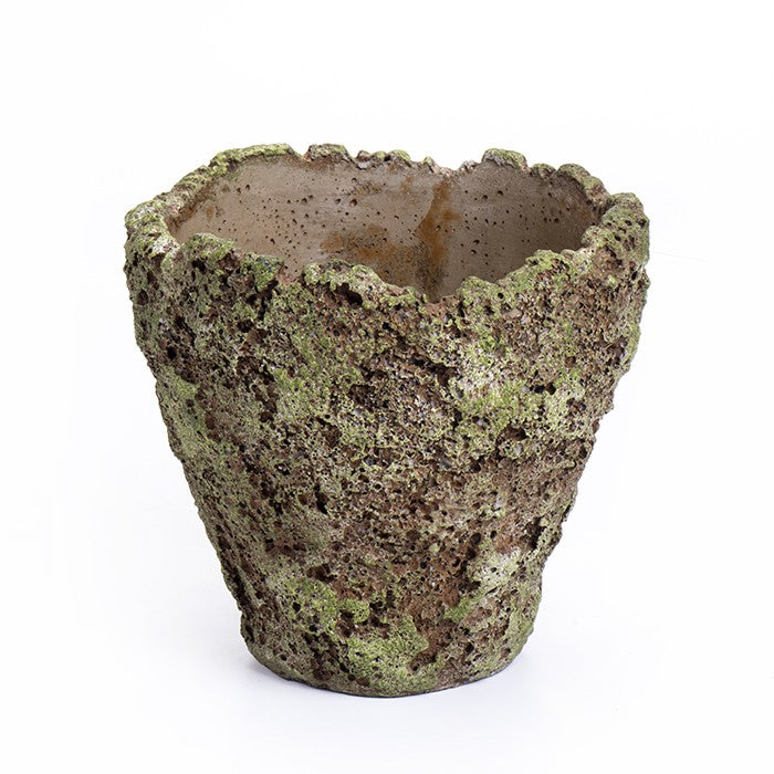 עציץ צמנט פורסט L