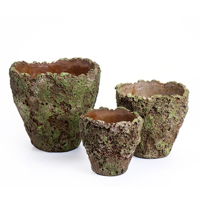 עציץ צמנט פורסט L