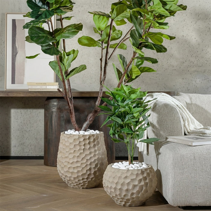 עציץ בוטניקה אייבורי