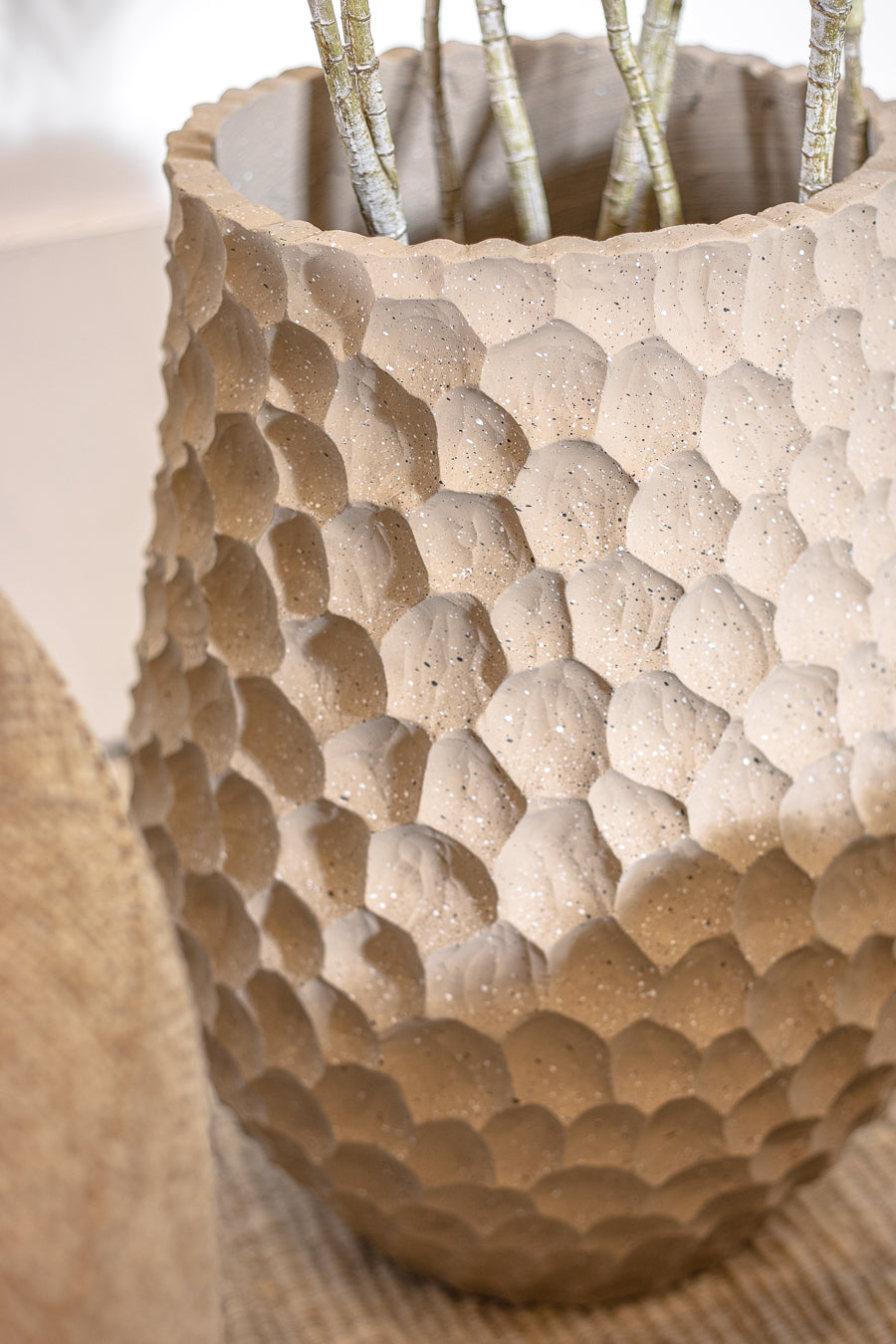 עציץ בוטניקה אייבורי