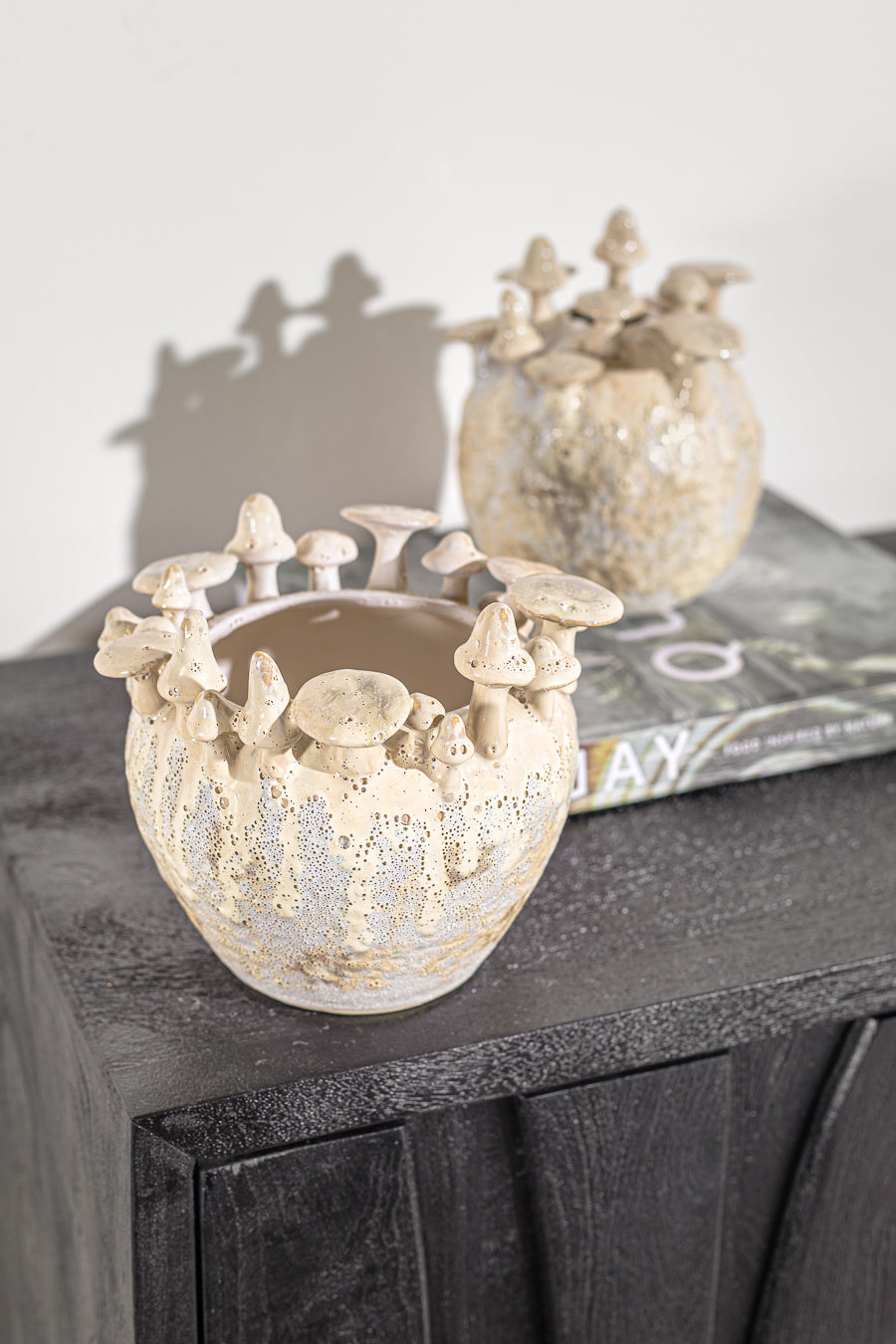 עציץ מאשרום ראונד בז' L