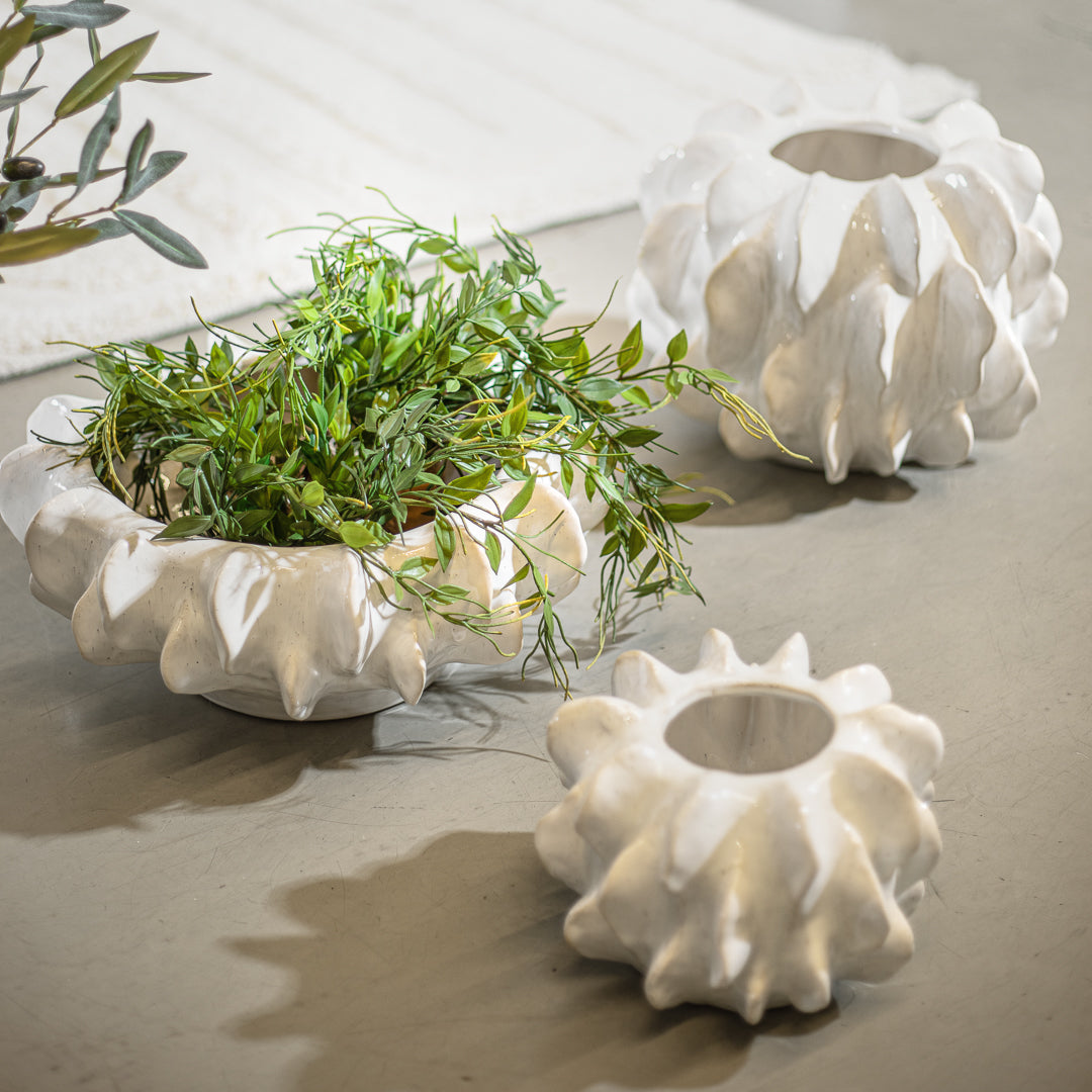 פלנטר ספארק ווייט M