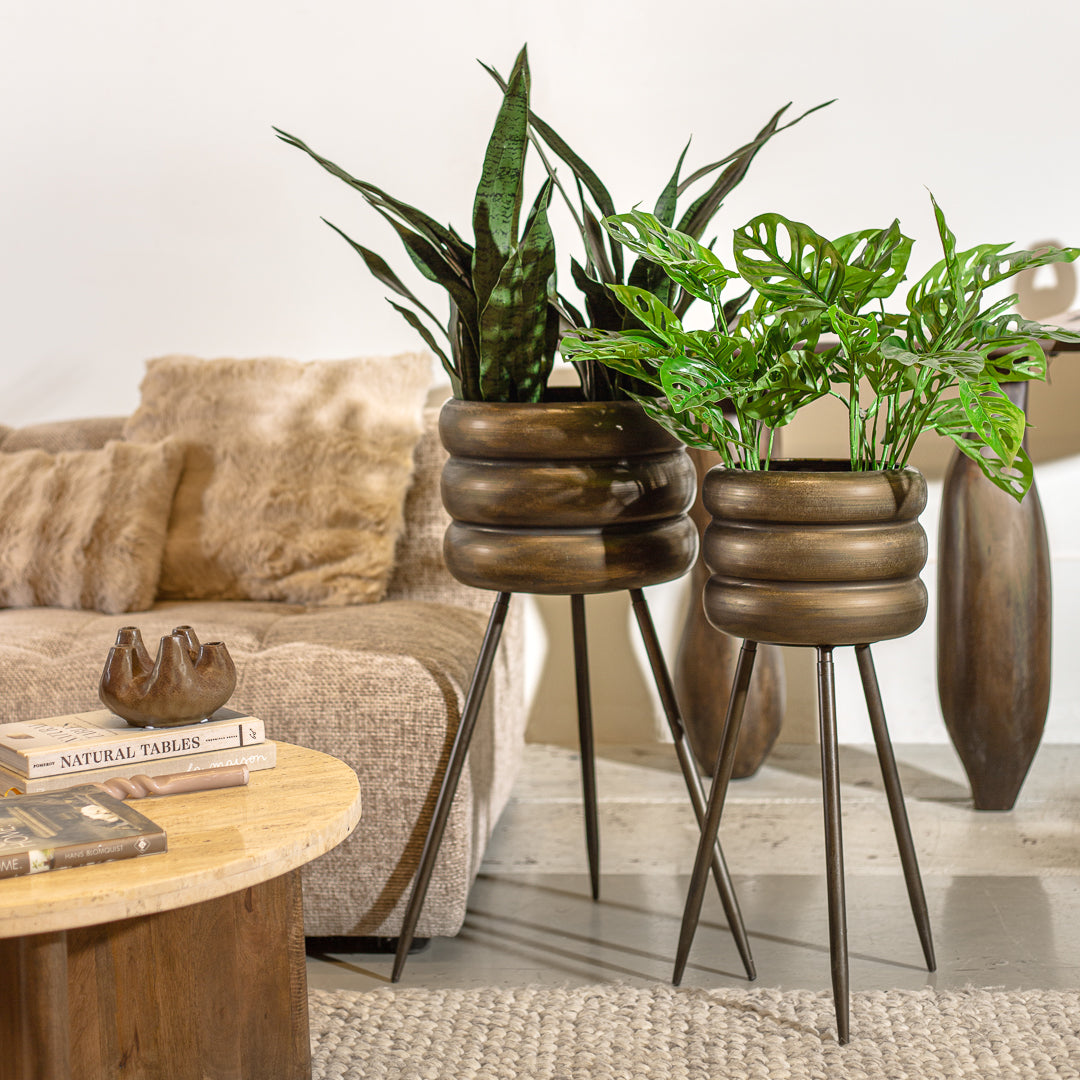 פלנטר בארל ברונז L