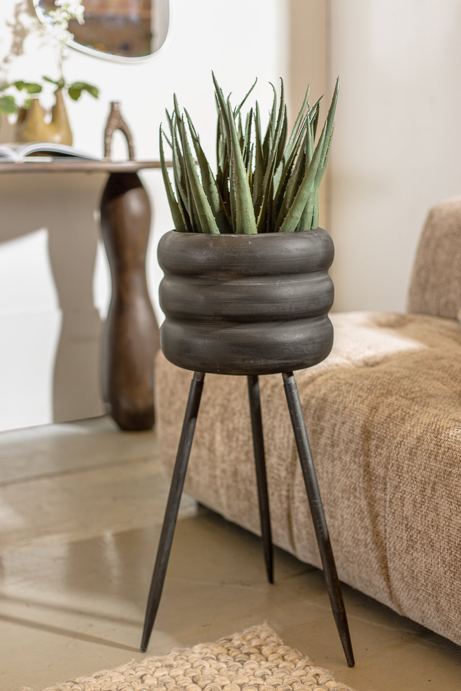 פלנטר בארל בלאק M