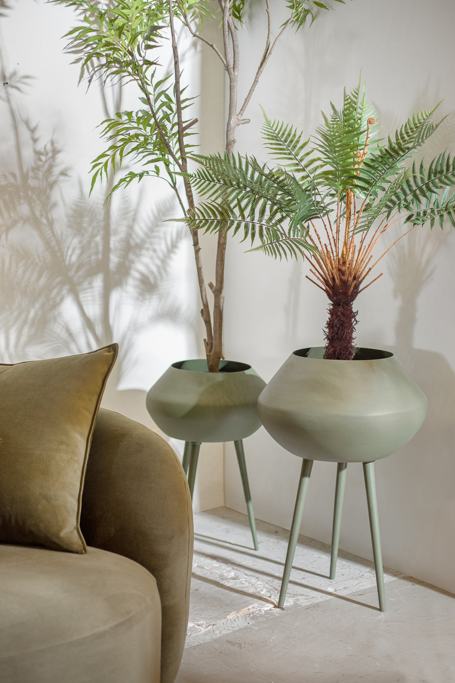 פלנטר אייקון גרין