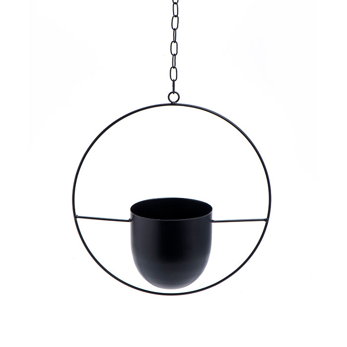 הנגינג סווידיש פלנטר בלאק ראונד