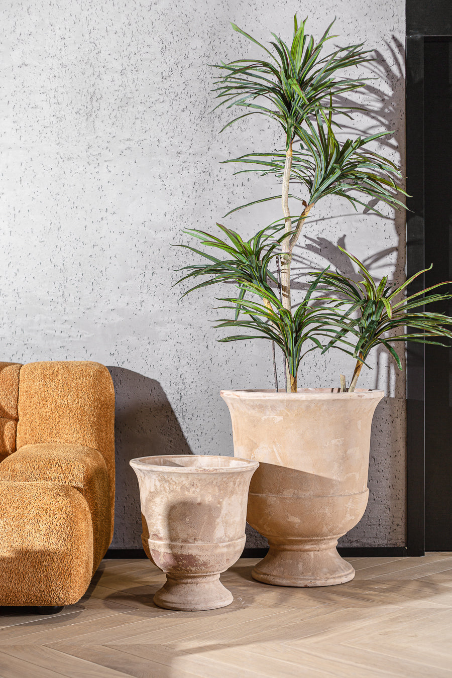 עציץ אואזיס טרקוטה M