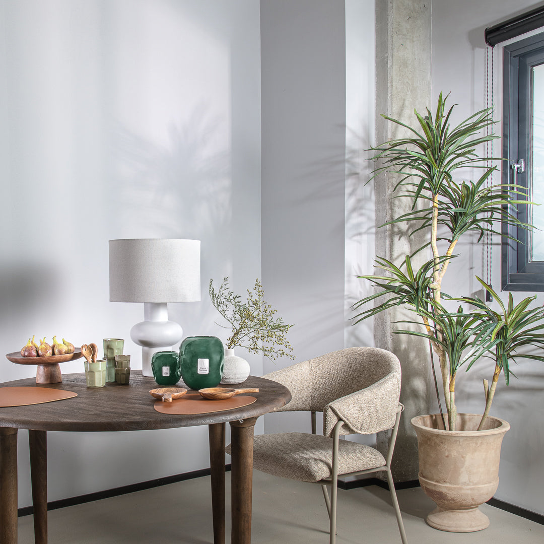 עציץ אואזיס טרקוטה M