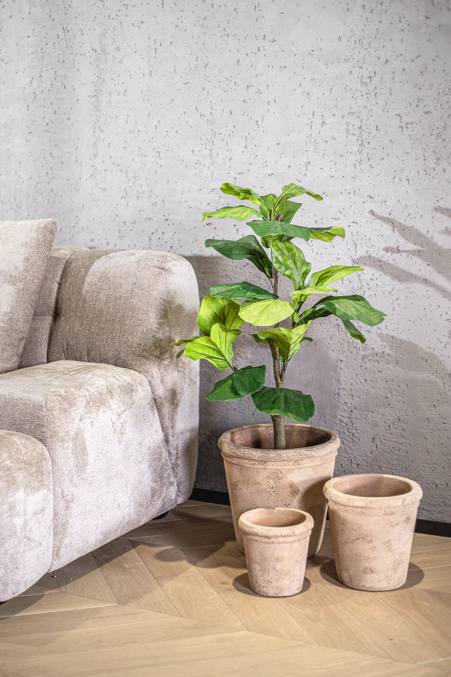 עציץ אואזיס טרקוטה M