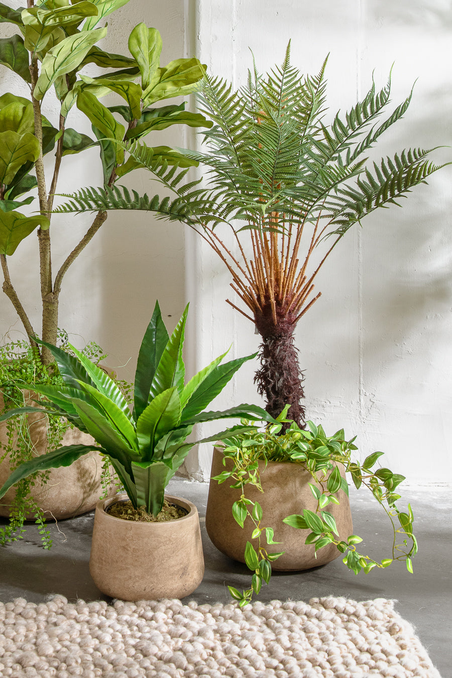 פלנטר בריסל סטון S