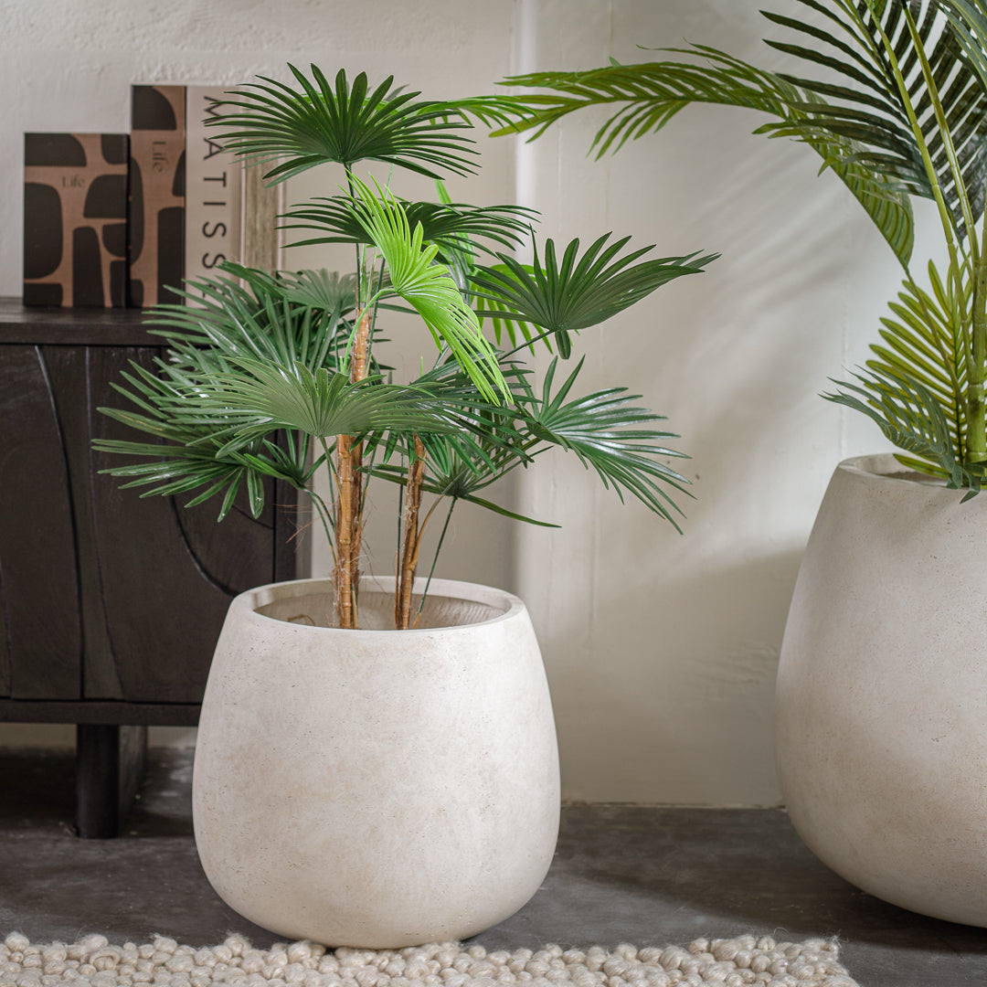 פלנטר בריסל ווייט L