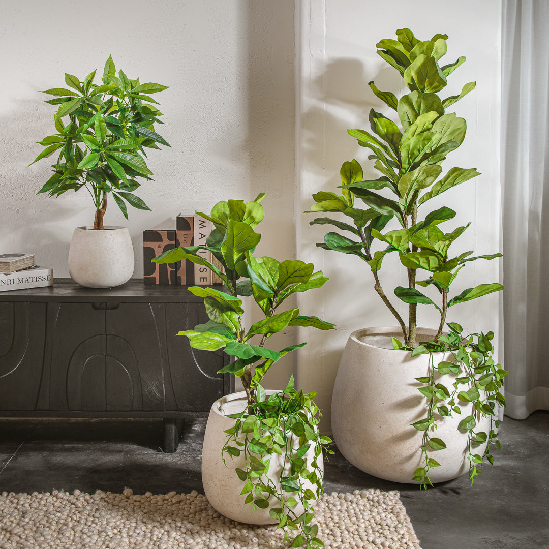 פלנטר בריסל ווייט L