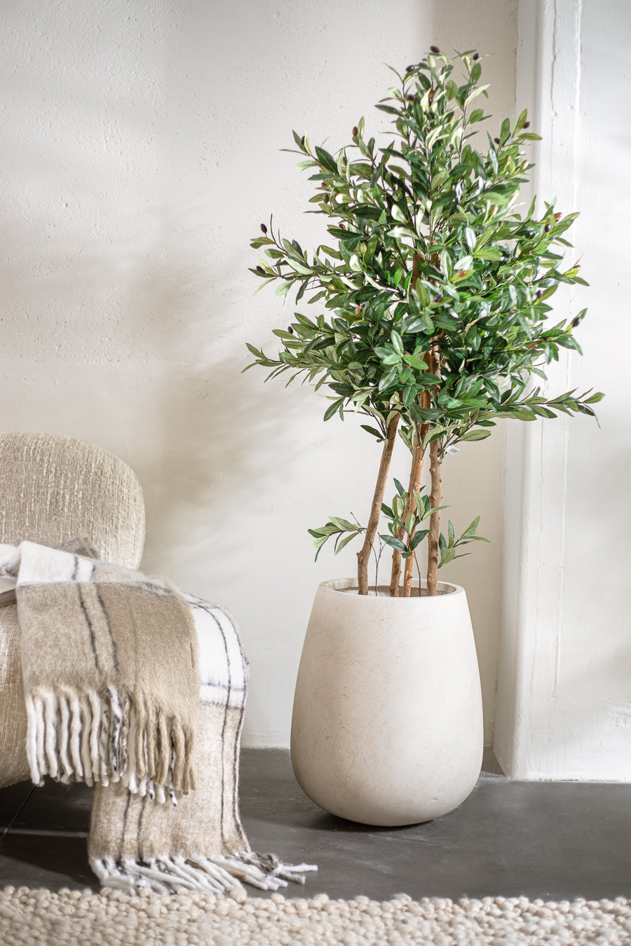 פלנטר בריסל ווייט S