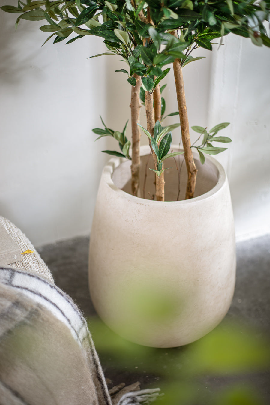 פלנטר בריסל ווייט M