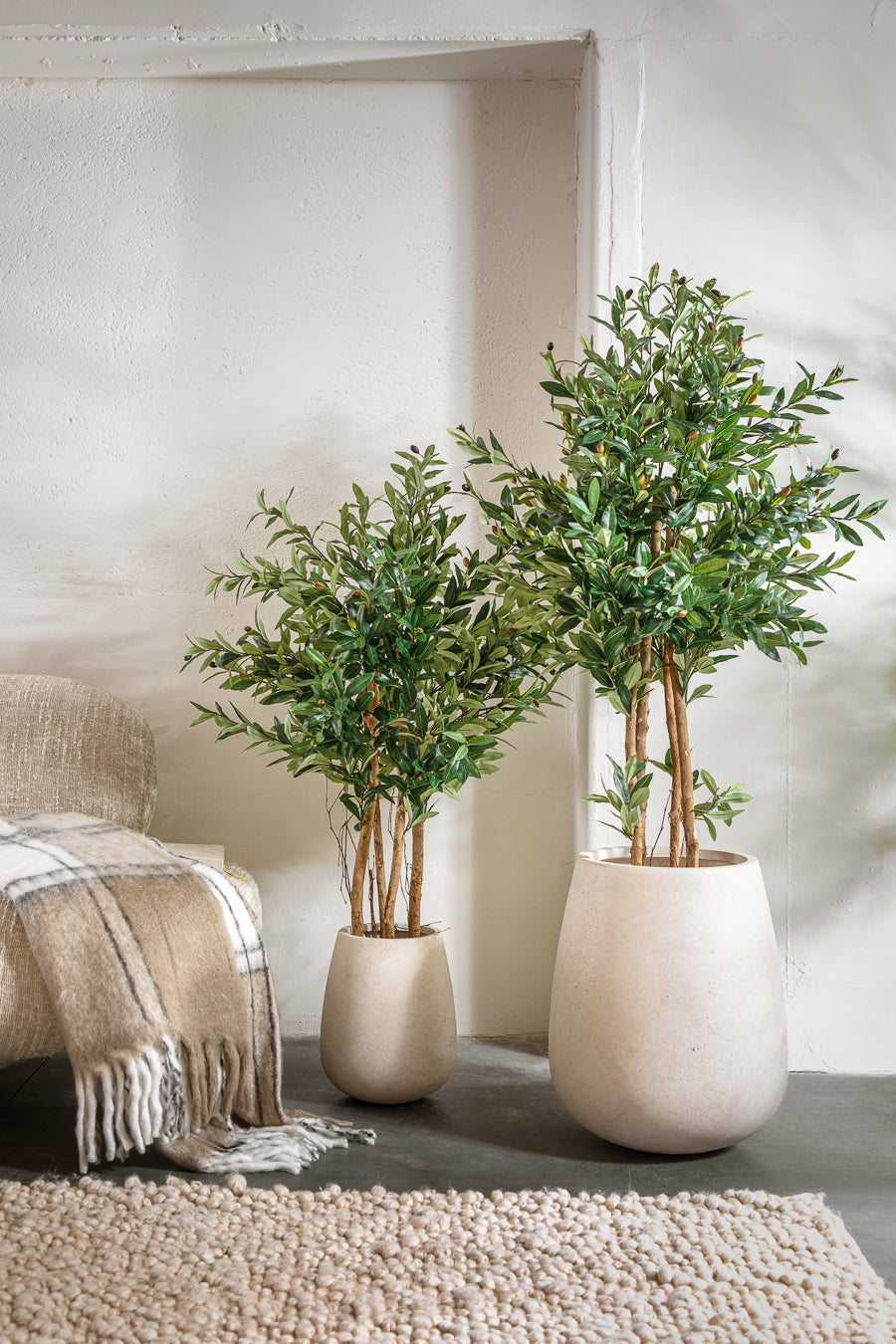 פלנטר בריסל ווייט M