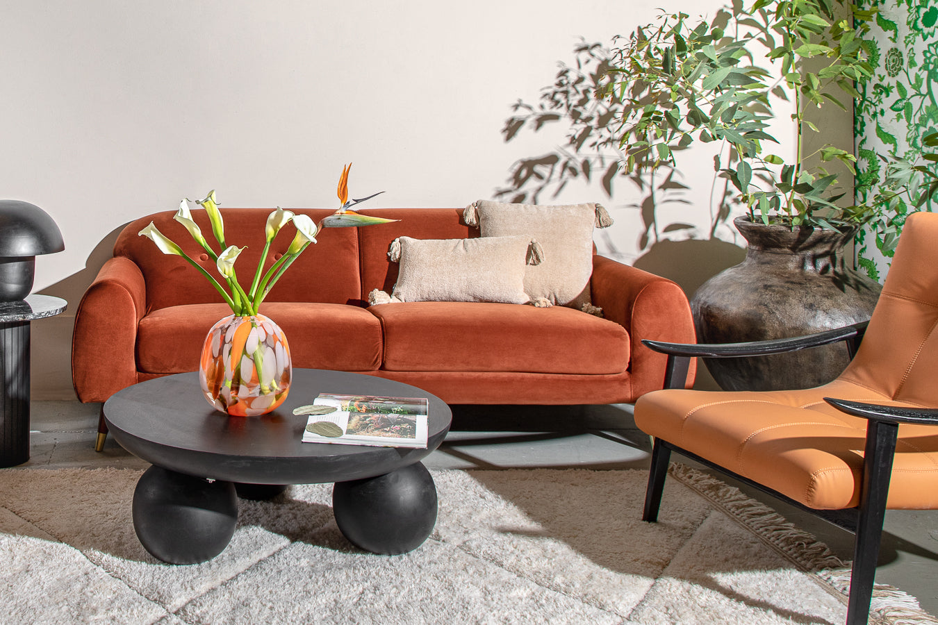 כד פרימיטיב בלאק