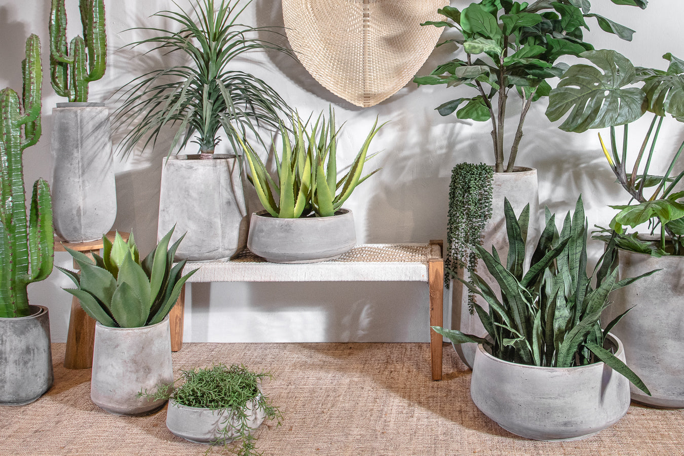 פלנטר קוני בריסל צמנט S