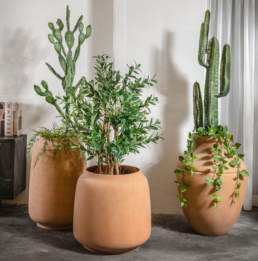 עציץ סהרה קלאיי