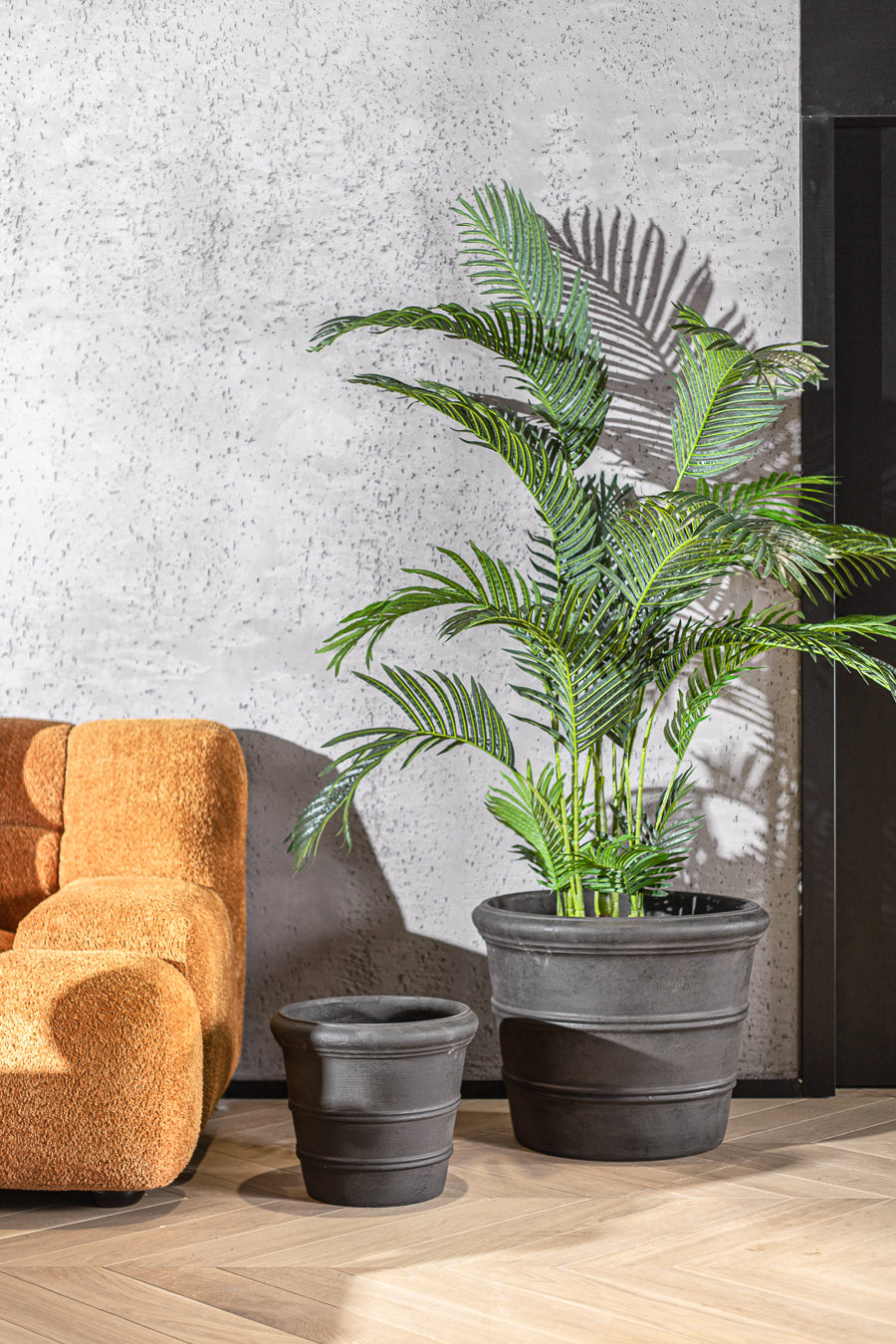 עציץ אואזיס גראפיט M