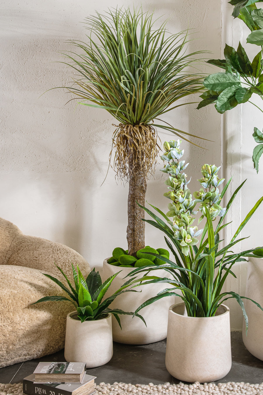 פלנטר בריסל ווייט M