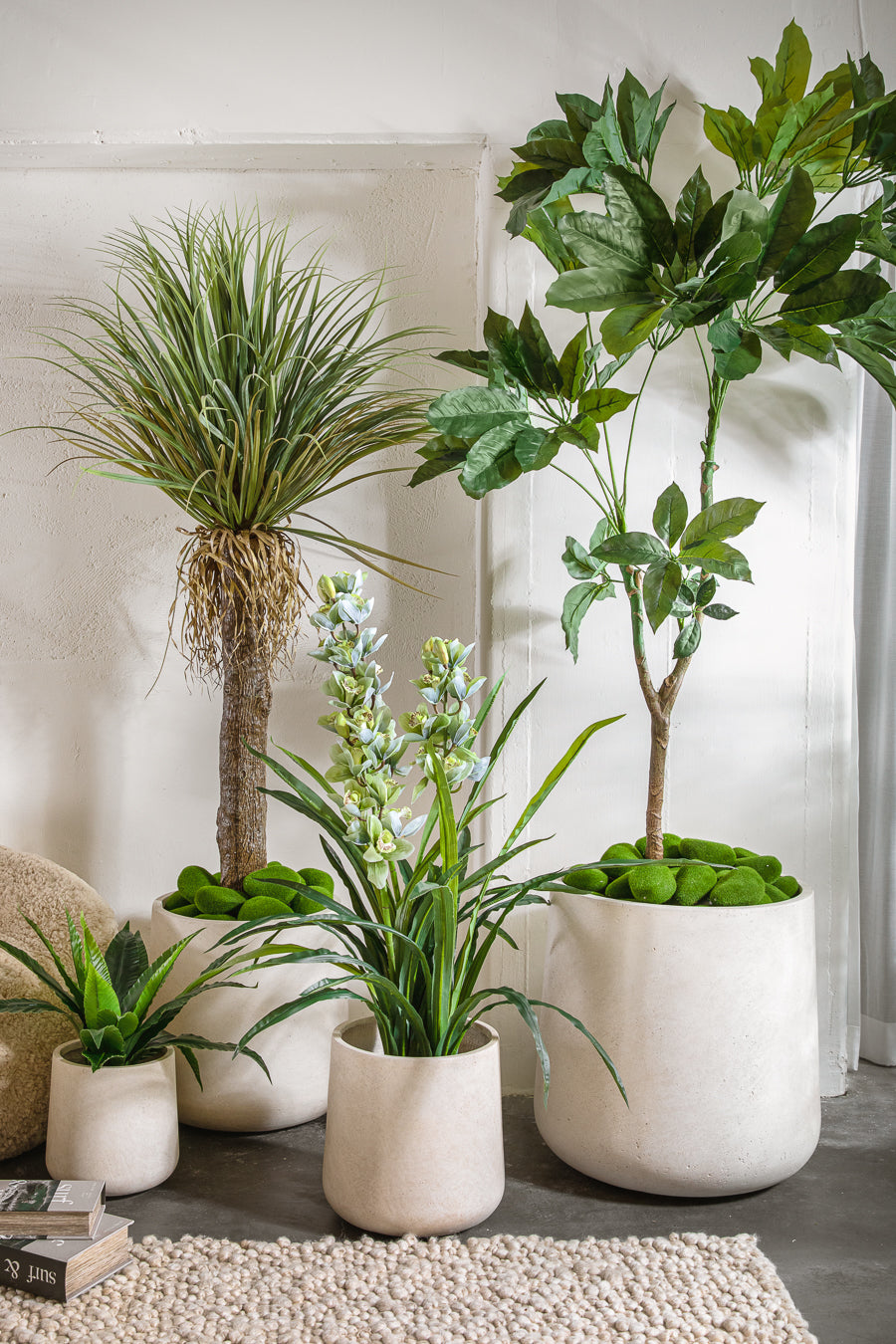 פלנטר בריסל ווייט M