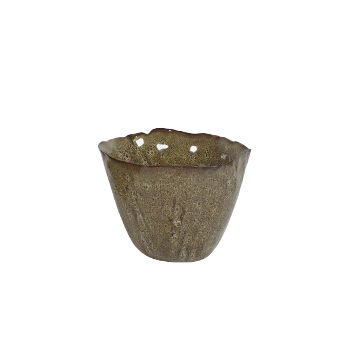 בול נאוטילוס קינמון M