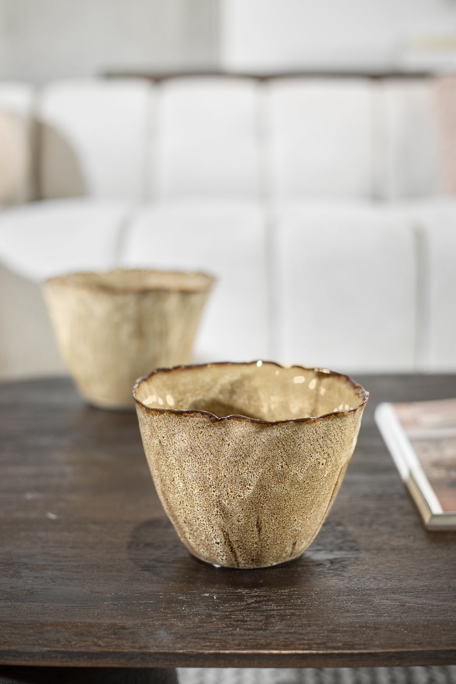 בול נאוטילוס קינמון M