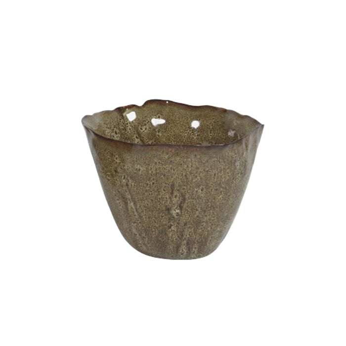 בול נאוטילוס קינמון L