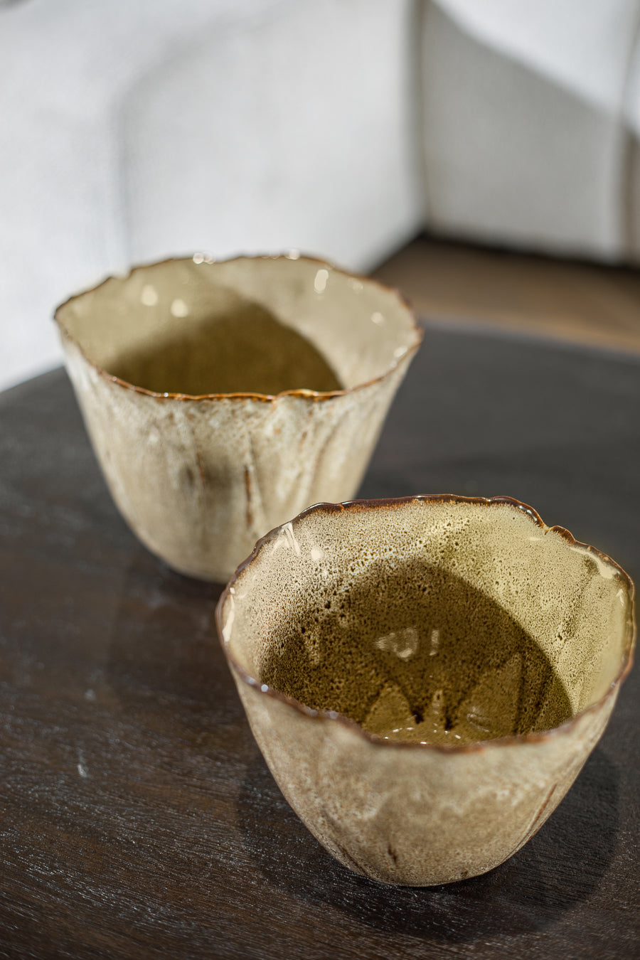 בול נאוטילוס קינמון L