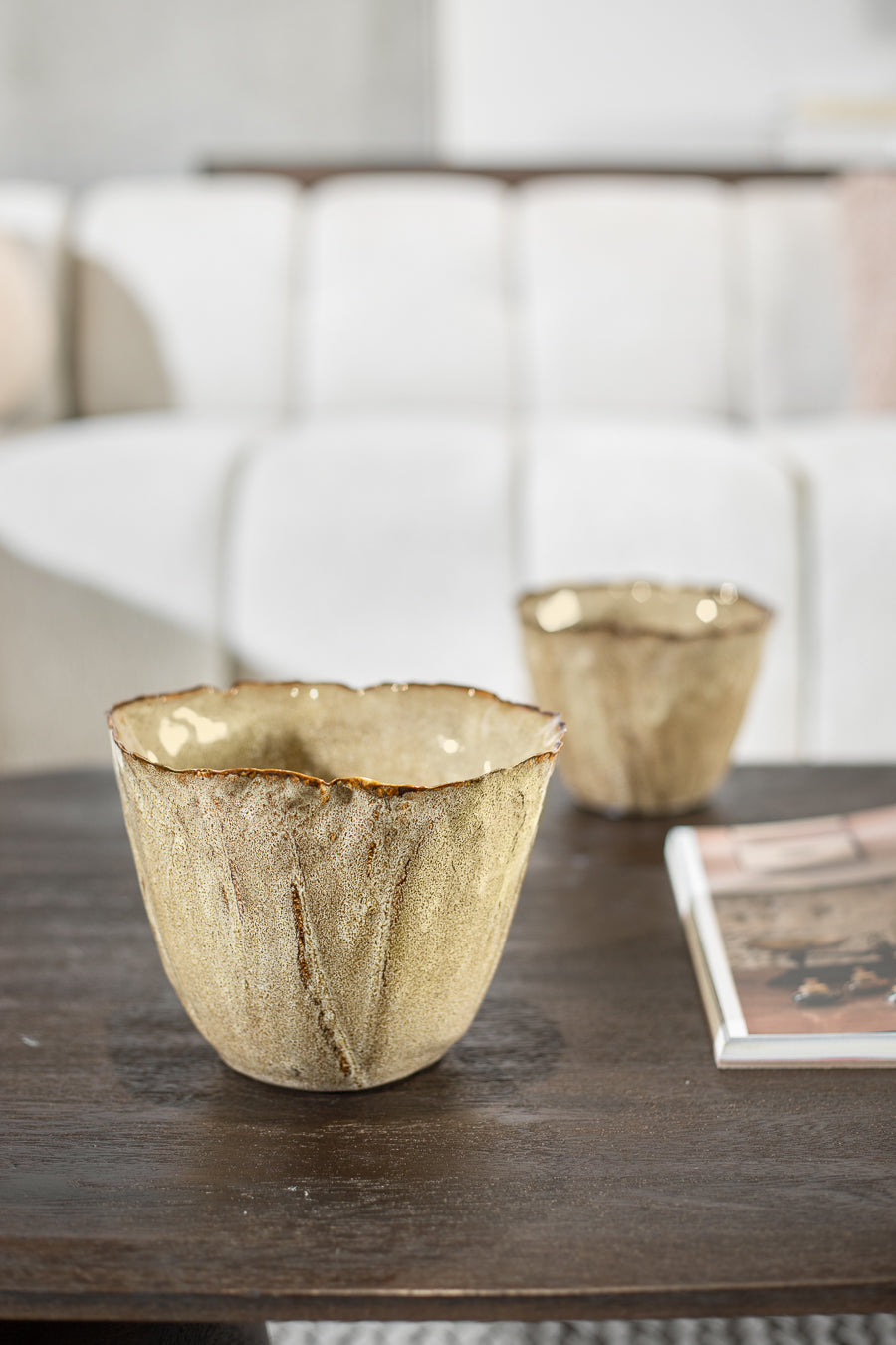 בול נאוטילוס קינמון L