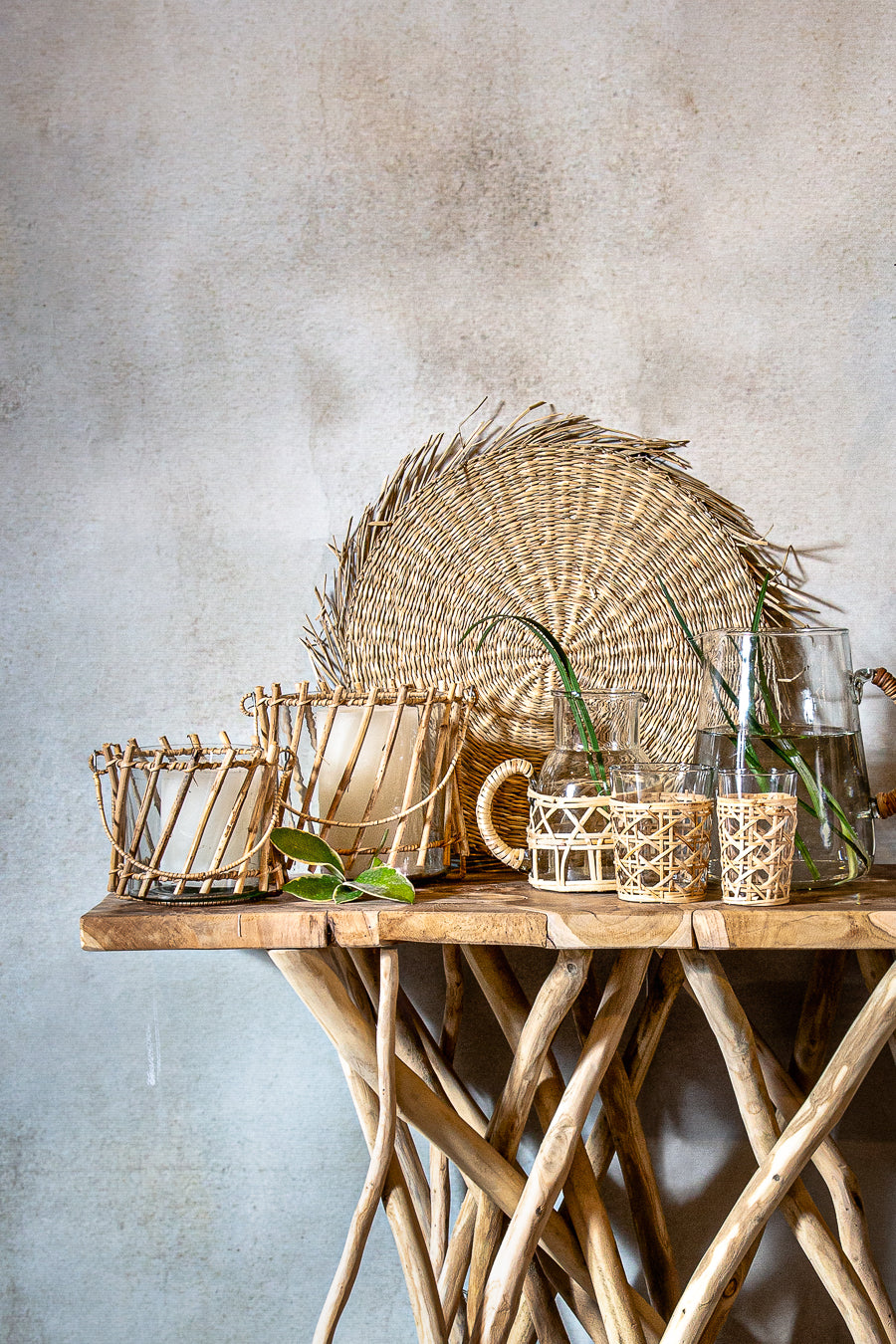 כוס אנטרופולוגי